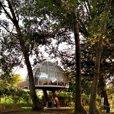 فندق مبيت وإفطار Under The Stars Domes