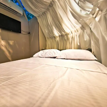 Under The Stars Domes فندق مبيت وإفطار