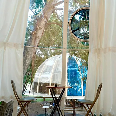 住宿加早餐酒店 Under The Stars Domes